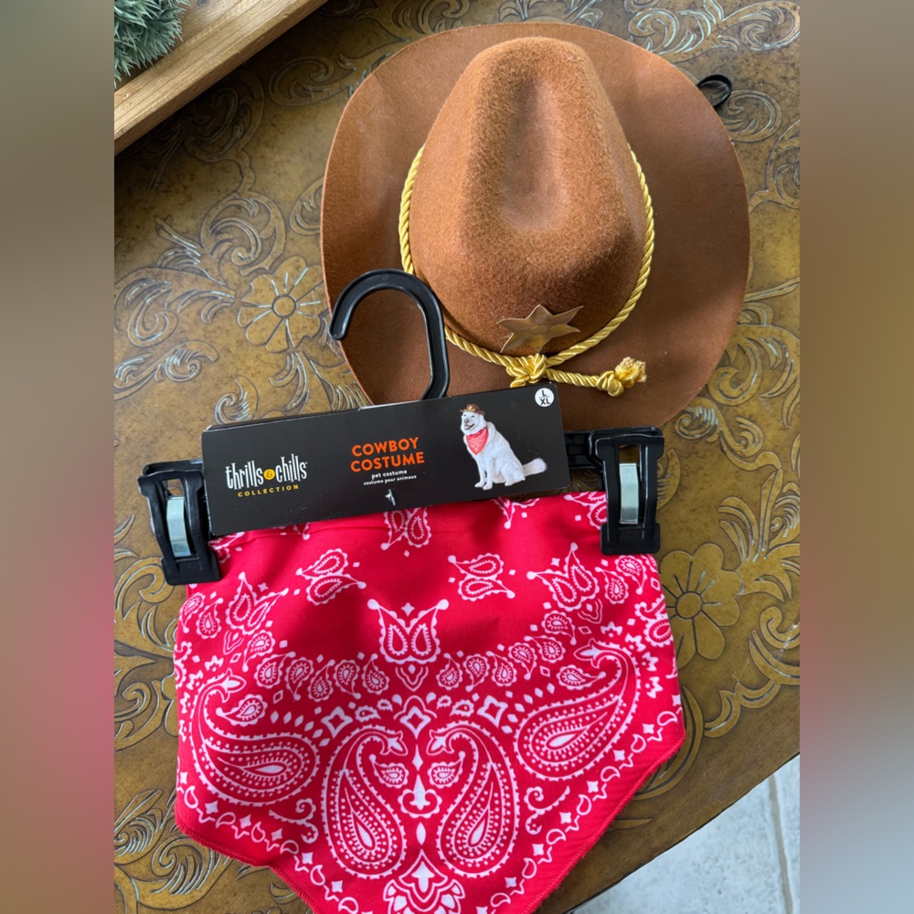 Dog cowboy costume